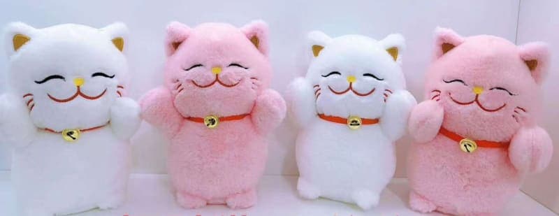 mèo may mắn