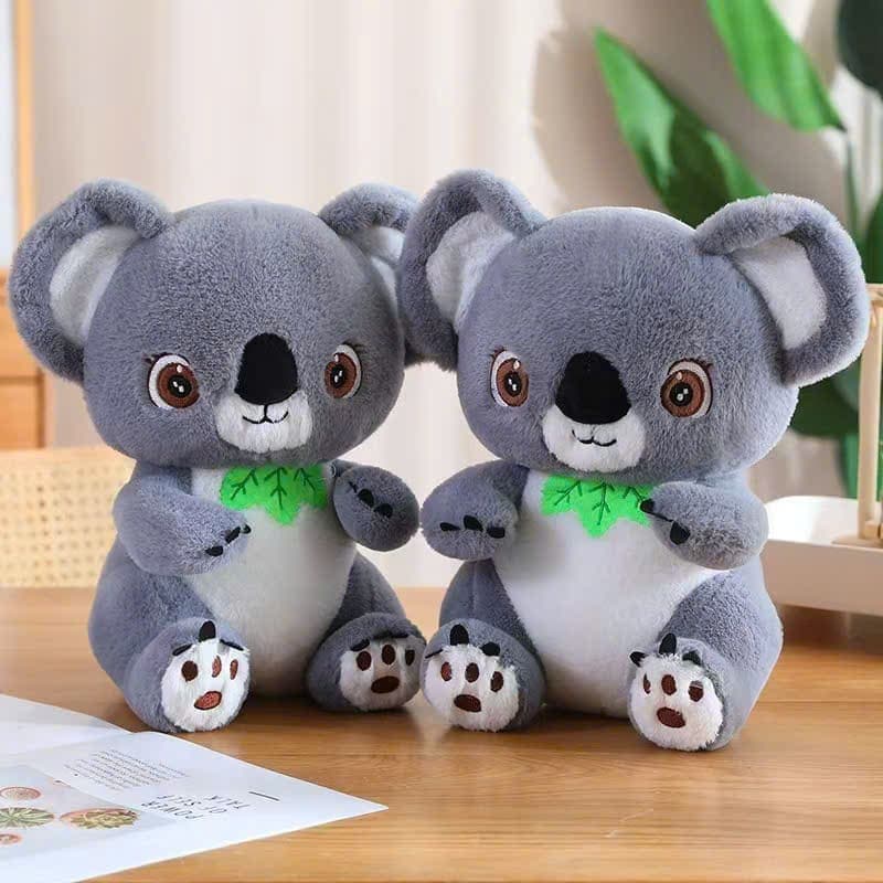 Gấu Koala